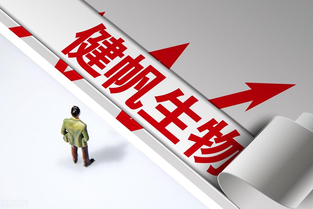 探索股票分紅的小巷寶藏店，投資與回報(bào)之路