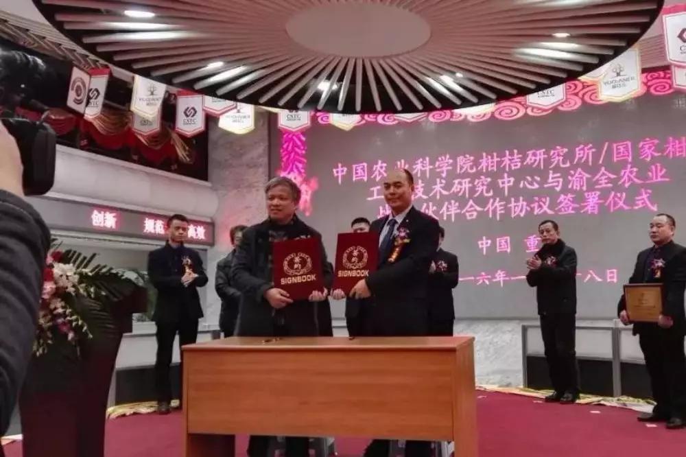 公司上市資本,公司上市資本，詳細步驟指南