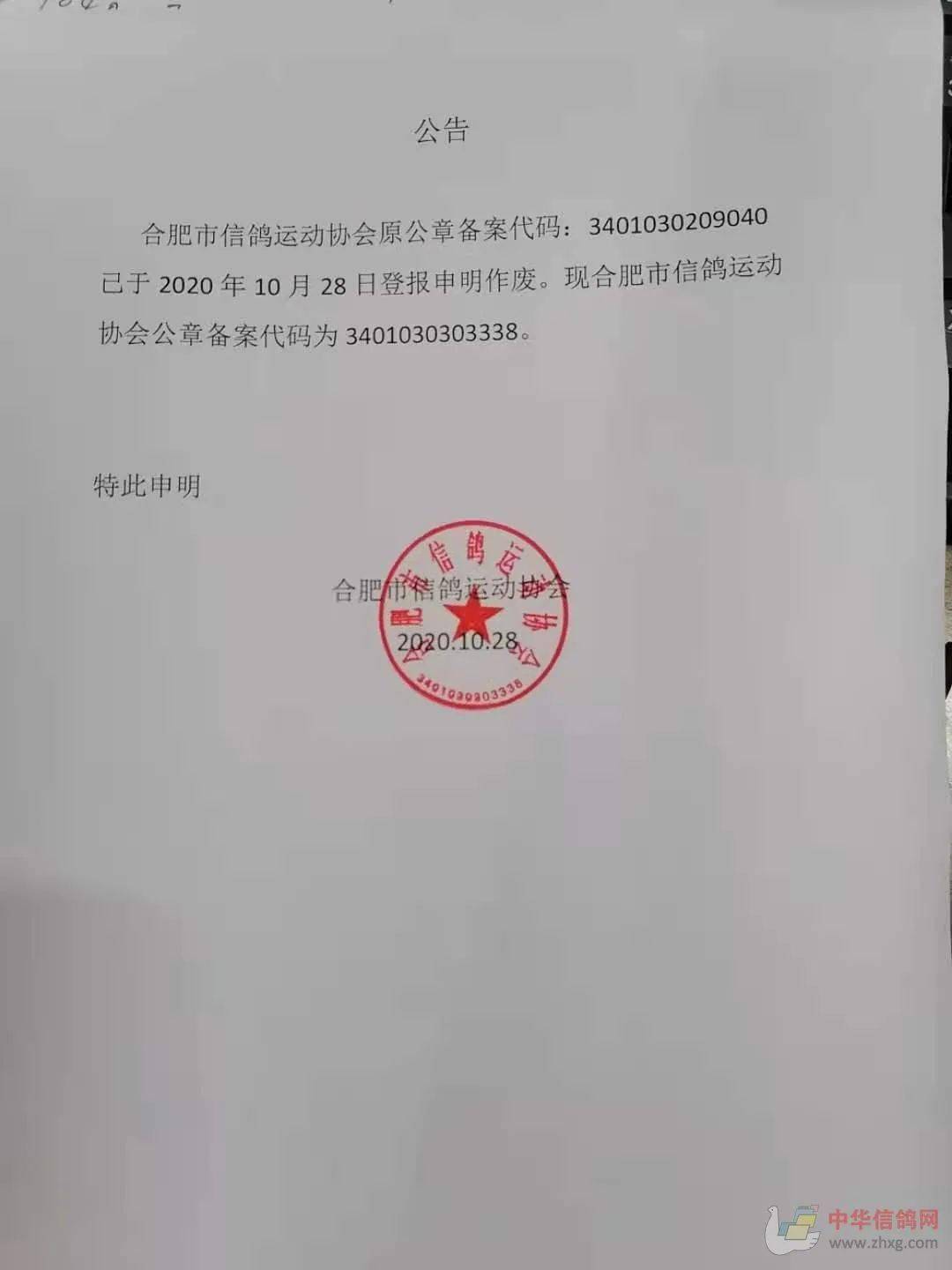 通遼信鴿協(xié)會最新公告，自信翱翔，成就夢想天空！