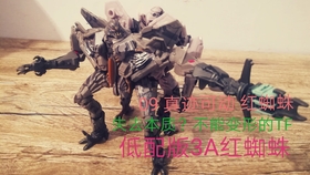 電影紅蜘蛛，深度解析與探討專題