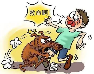 疫情最新偉人,疫情最新偉人，學(xué)習(xí)、變化與信心的力量