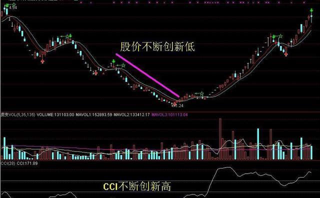 深度解析，全面洞察002831股市行情