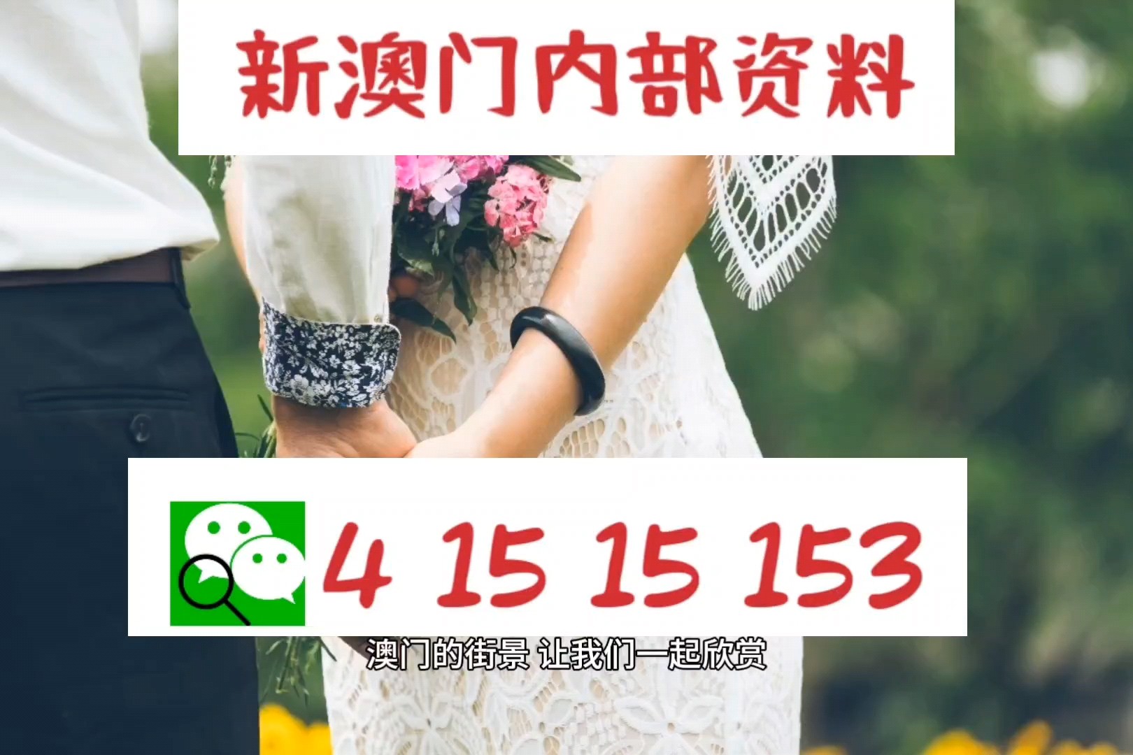 2024澳門精準(zhǔn)正版圖庫,專業(yè)解讀操行解決_時(shí)刻版73.162