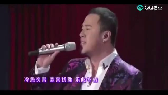火歌最新，小巷深處的獨(dú)特音符