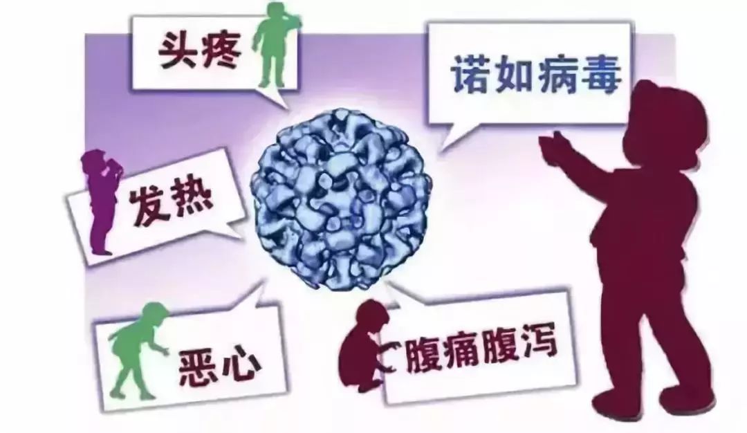 最新疫情動態(tài)與觀點論述