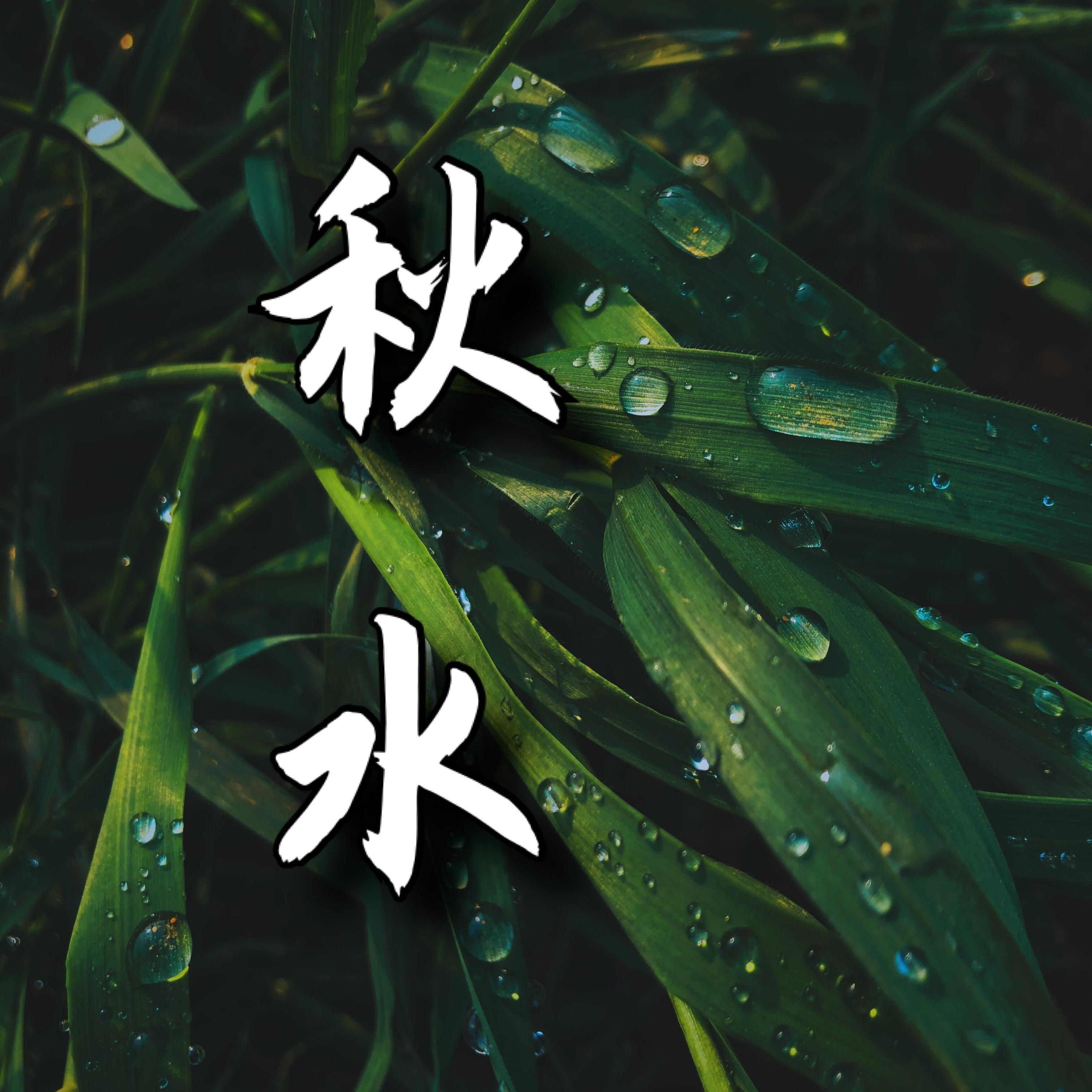 秋水最新音頻，一段溫馨有趣的日常故事賞析