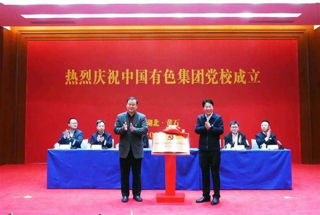 最新成立項(xiàng)目步驟指南全解析