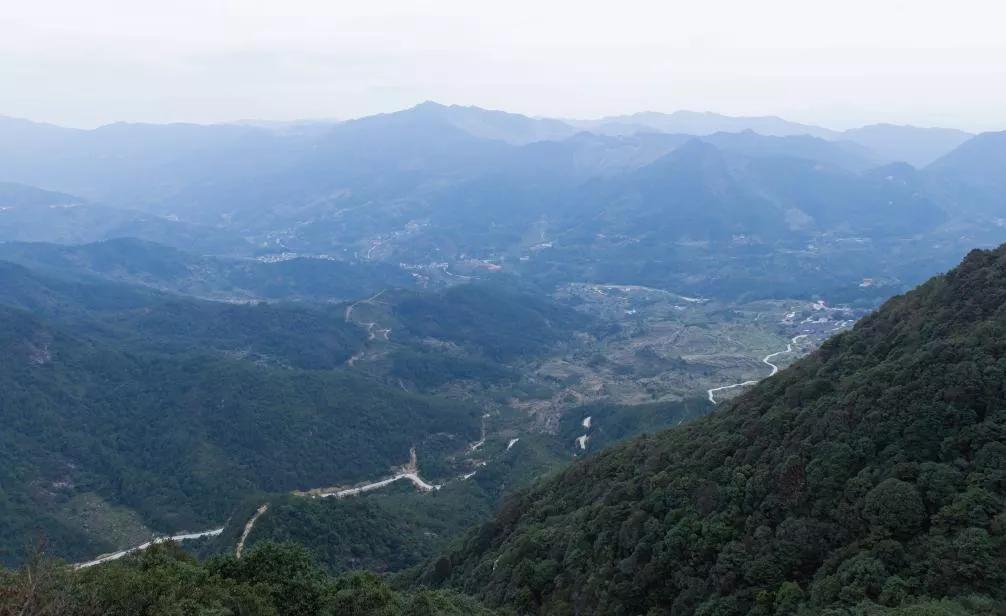 揭西最新網(wǎng)，溫馨日常故事集結(jié)地