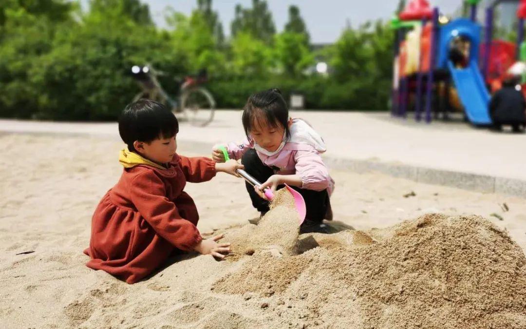 衡水最新集，深度解析教育現(xiàn)象