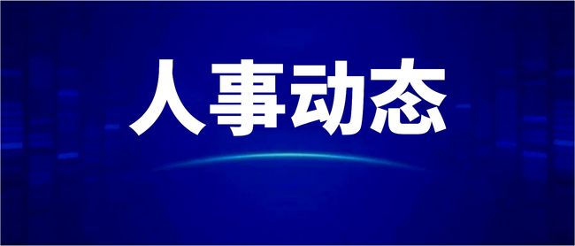 四川最新任免動(dòng)態(tài)及深度分析