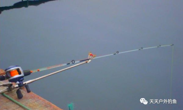 最新筏竿釣鯽魚技巧大揭秘，掌握垂釣要領，盡享垂釣樂趣