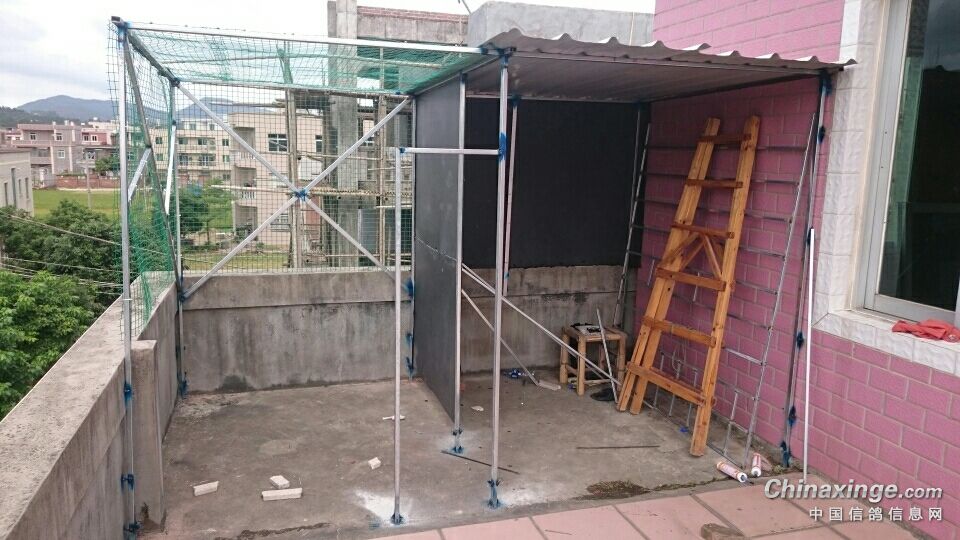 樓頂鴿棚搭建新圖，構(gòu)建理想鴿子家園